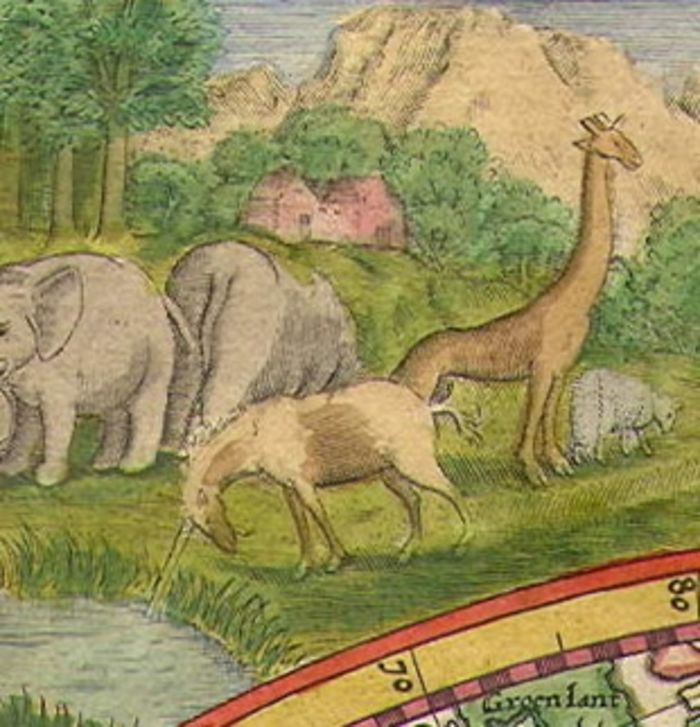 Constellation Licorne